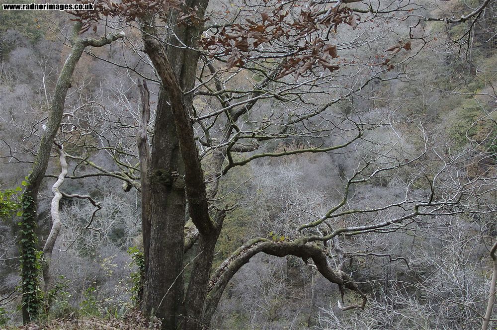 Afon Pyrddin