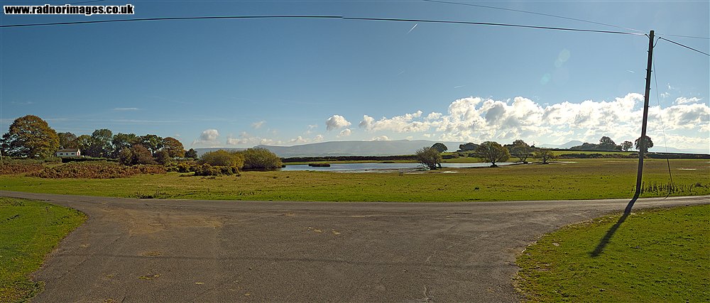 Brechfa Common