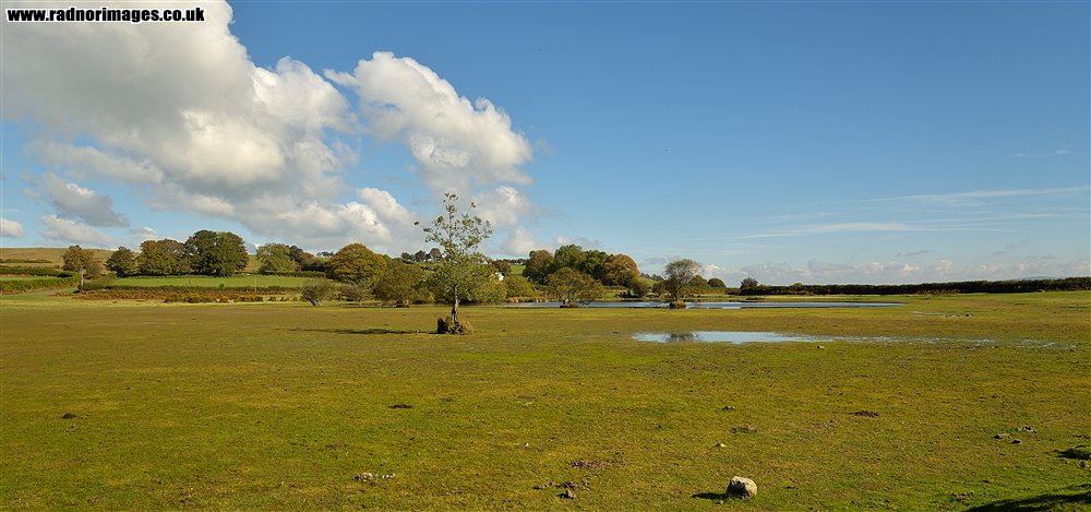 Brechfa Common
