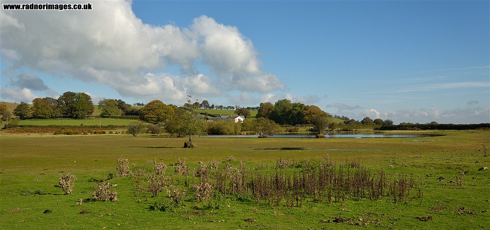 Brechfa Common