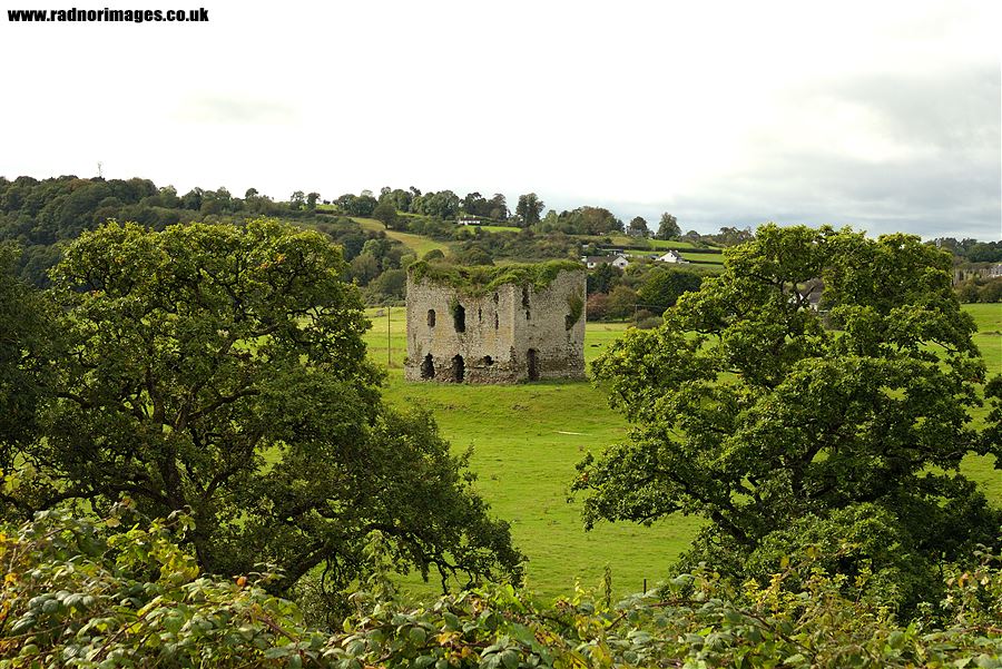 Grennan Castle