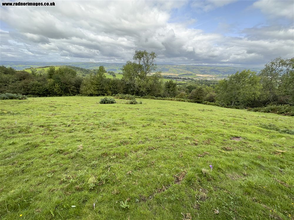 Henallt Common