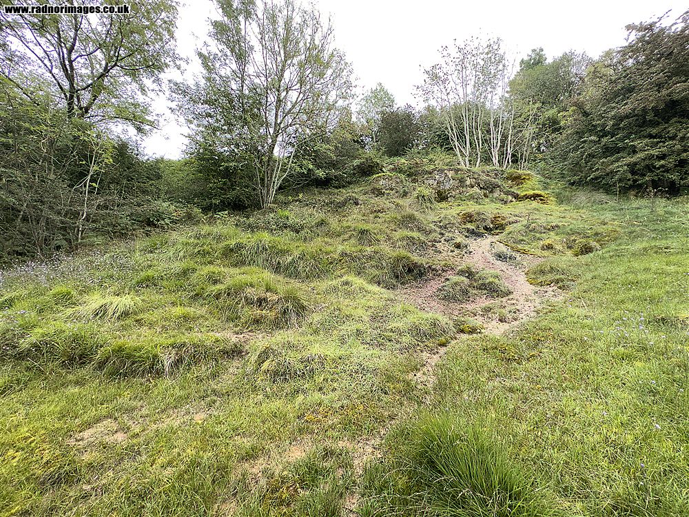 Henallt Common