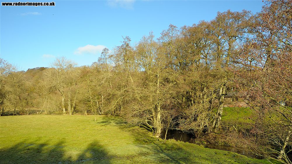 Newchurch