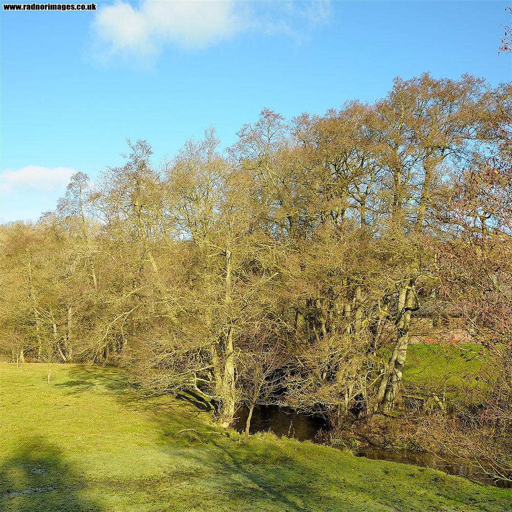 Newchurch