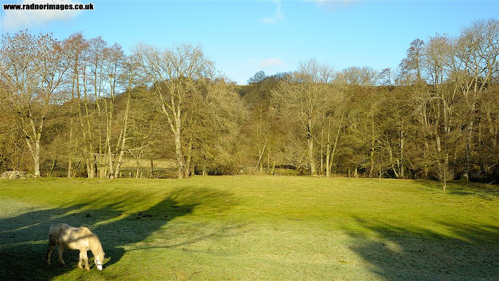 Newchurch
