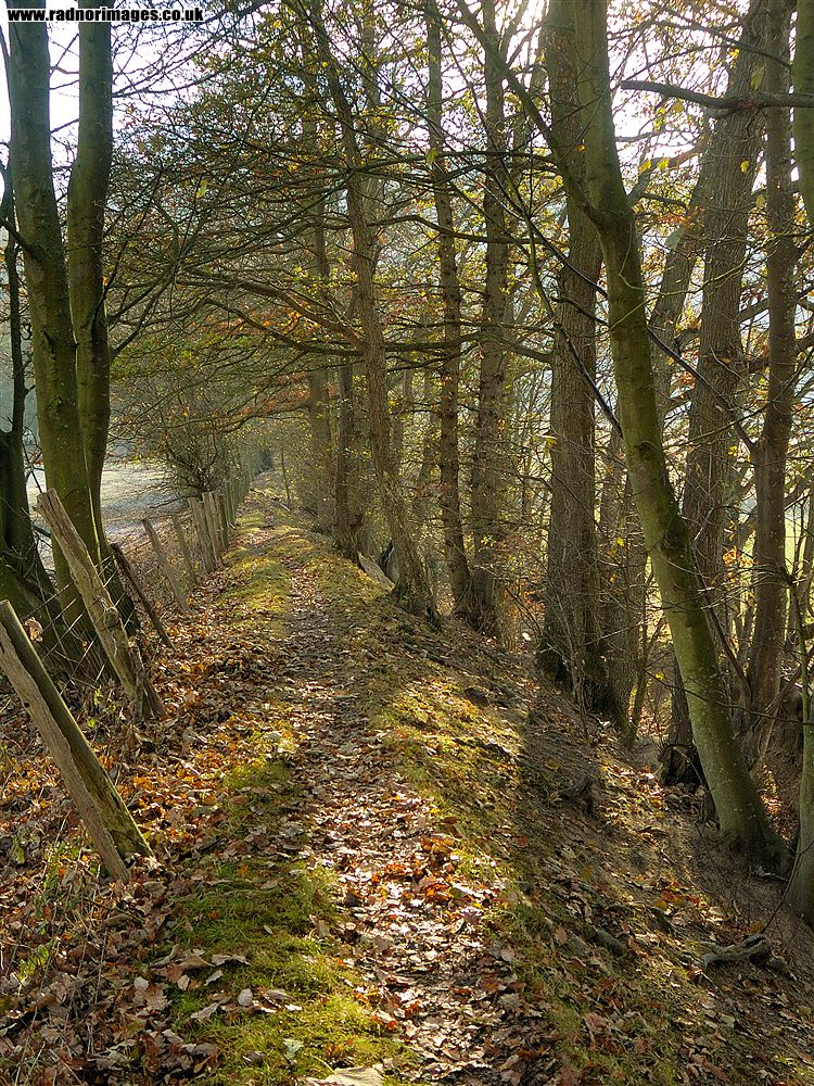 Offa's Dyke