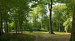 Foret Domaniale d'Hesdin
