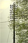 Telegraph pole