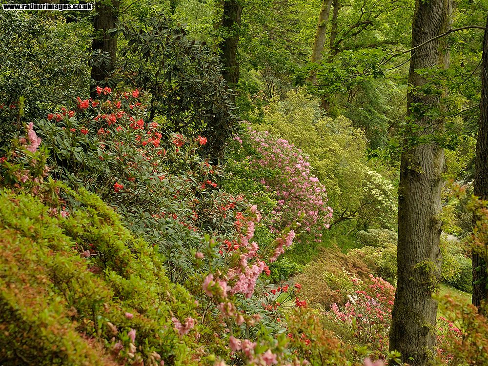Afon Conwy
