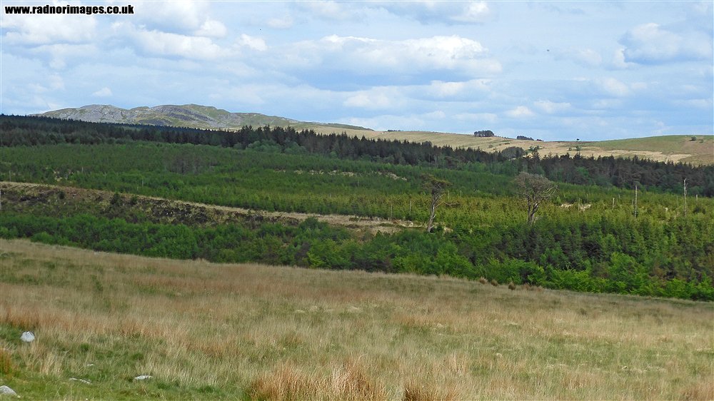 Afon Giedd