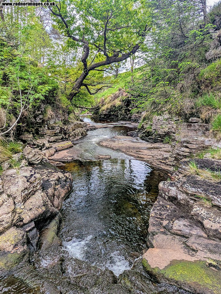 Afon Giedd