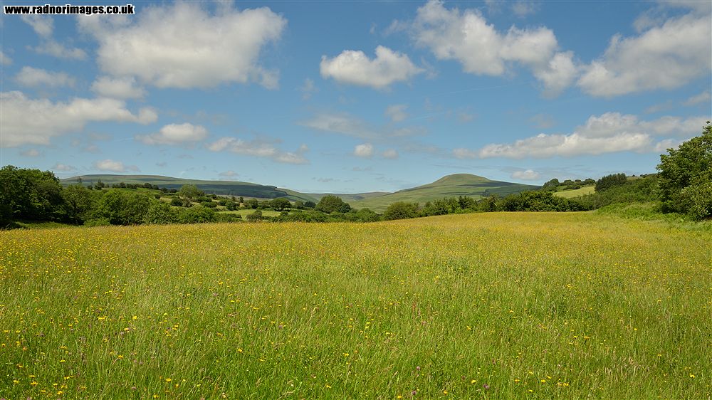 Afon Nedd Fechan