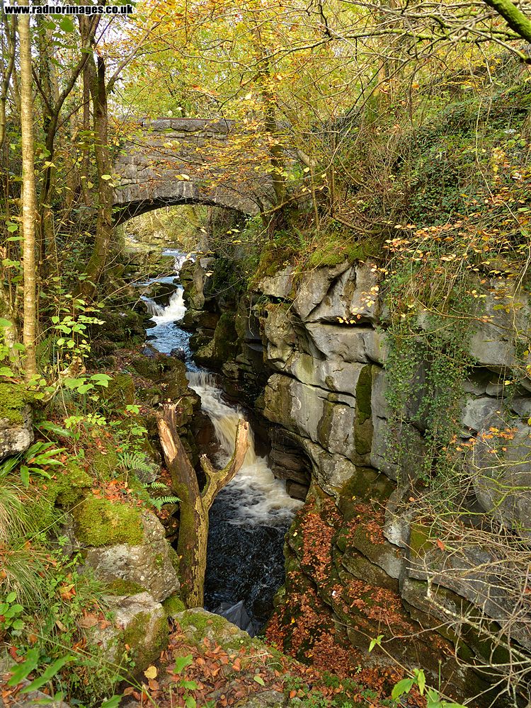 Afon Taf Fechan