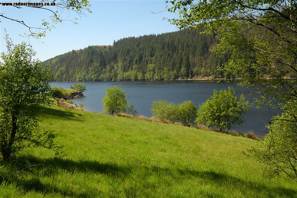 Afon Tywi