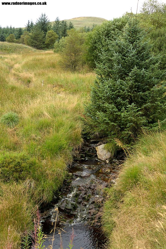 Afon Tywi