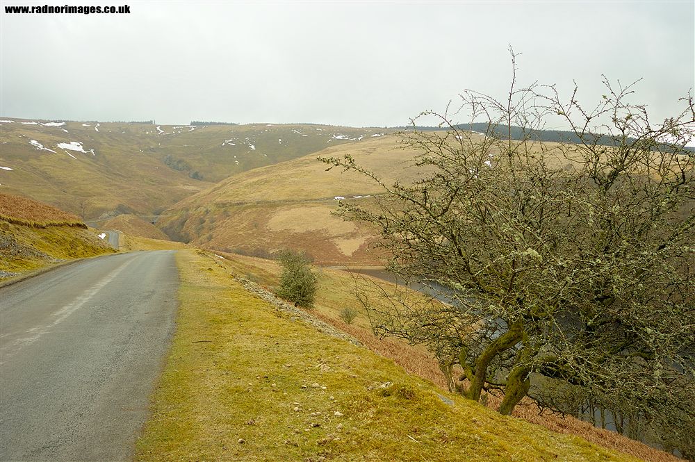 Afon Tywi