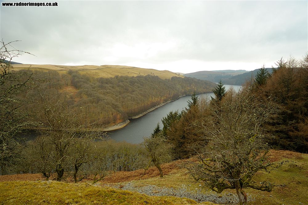 Afon Tywi