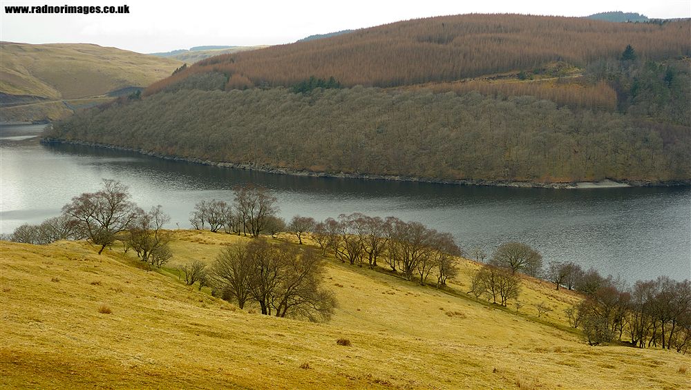 Afon Tywi