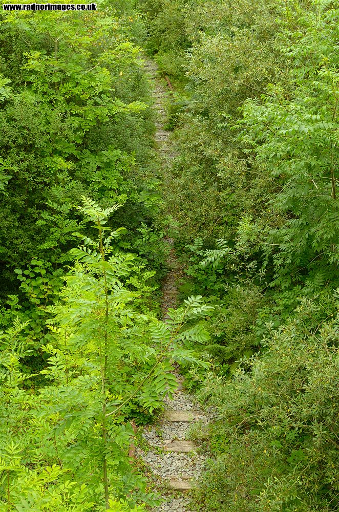 Bala and Festiniog Railway