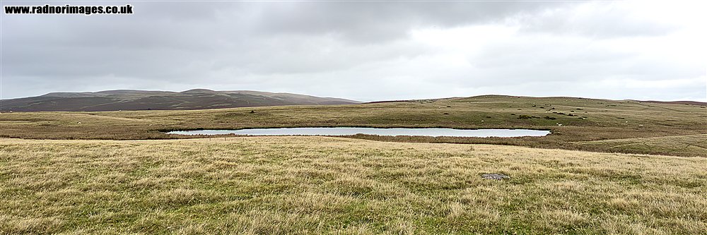Banc y Celyn Common