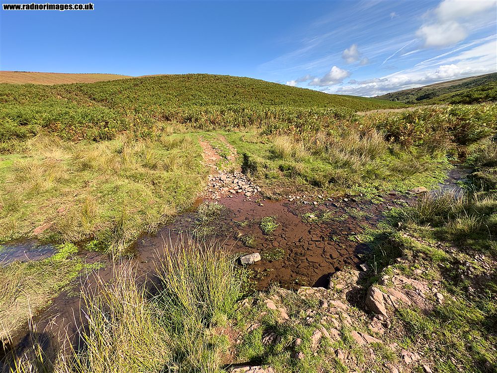 Banc y Celyn Common