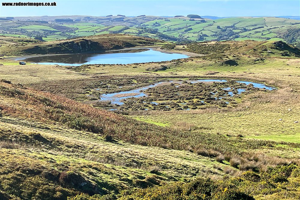 Banc y Celyn Common