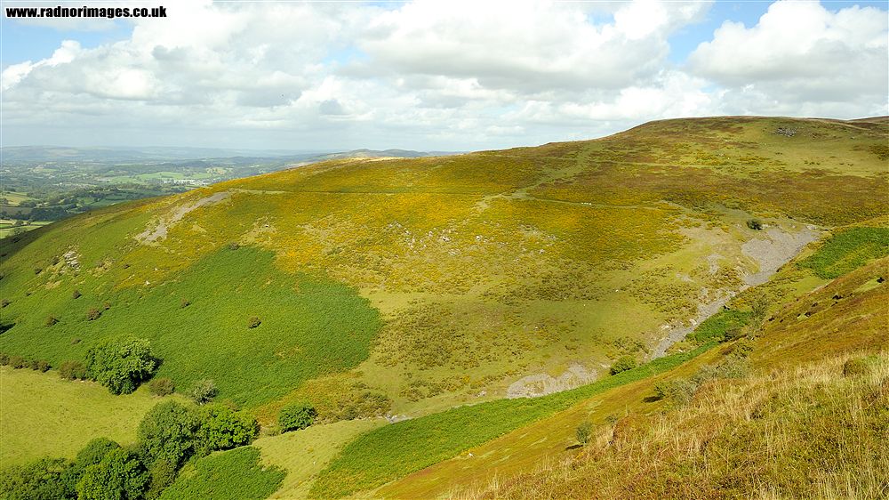Banc y Celyn Common