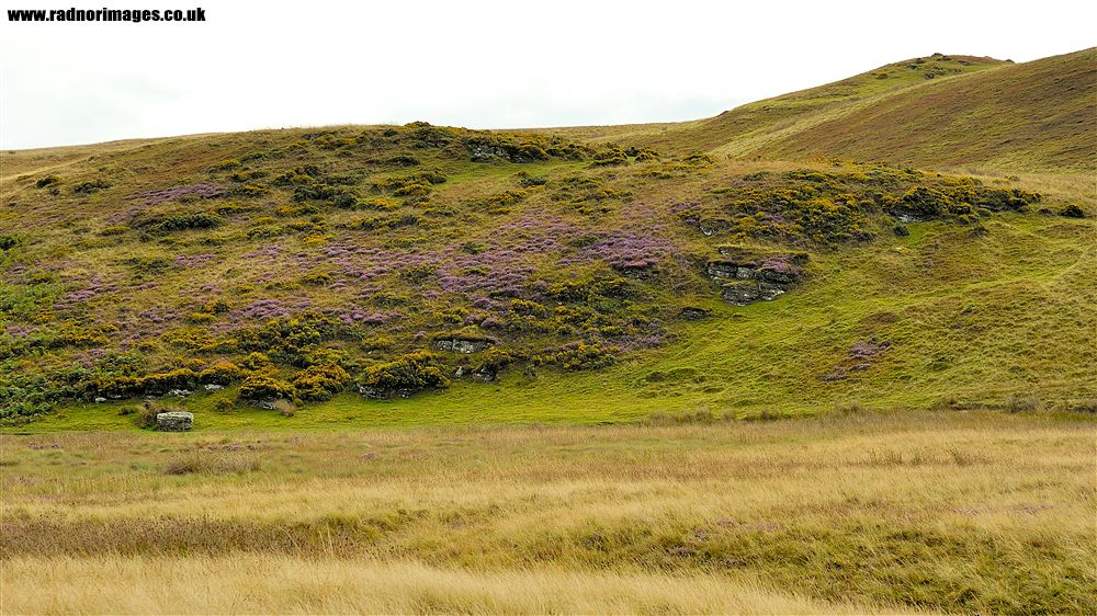 Banc y Celyn Common