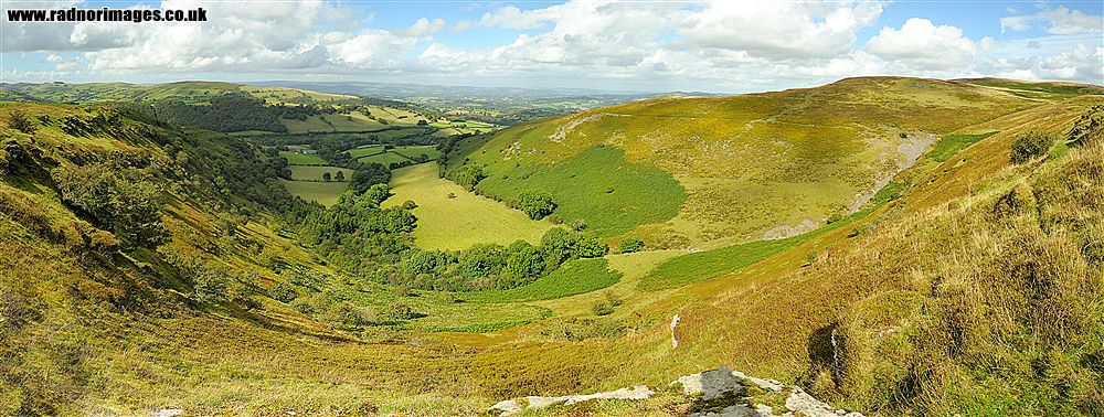 Banc y Celyn Common