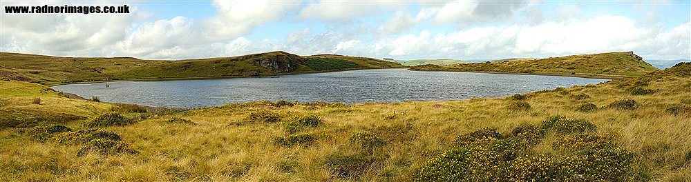 Banc y Celyn Common