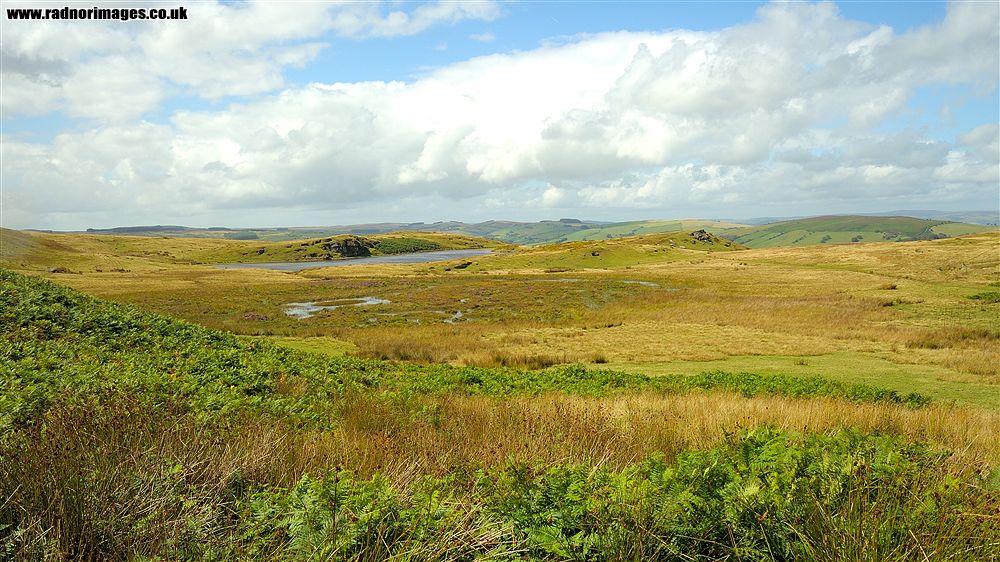 Banc y Celyn Common