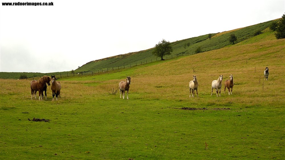 Beulah