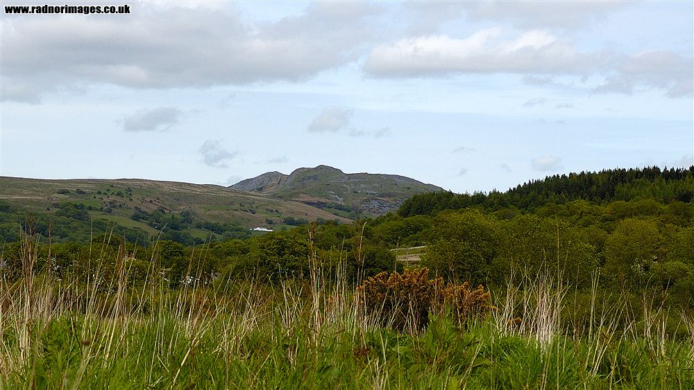 Black Mountain