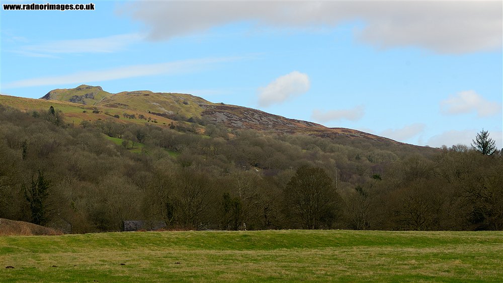 Black Mountain