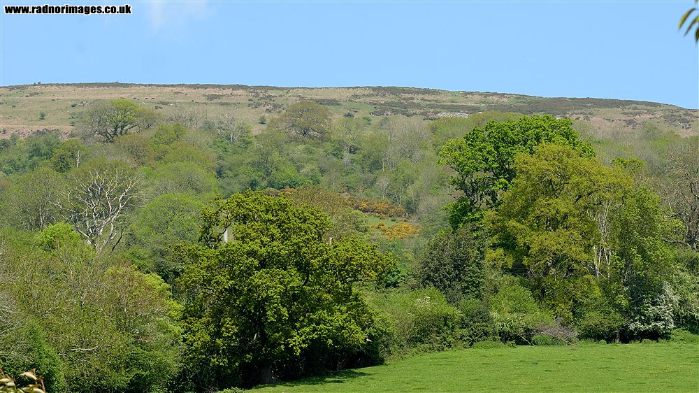 Black Mountains