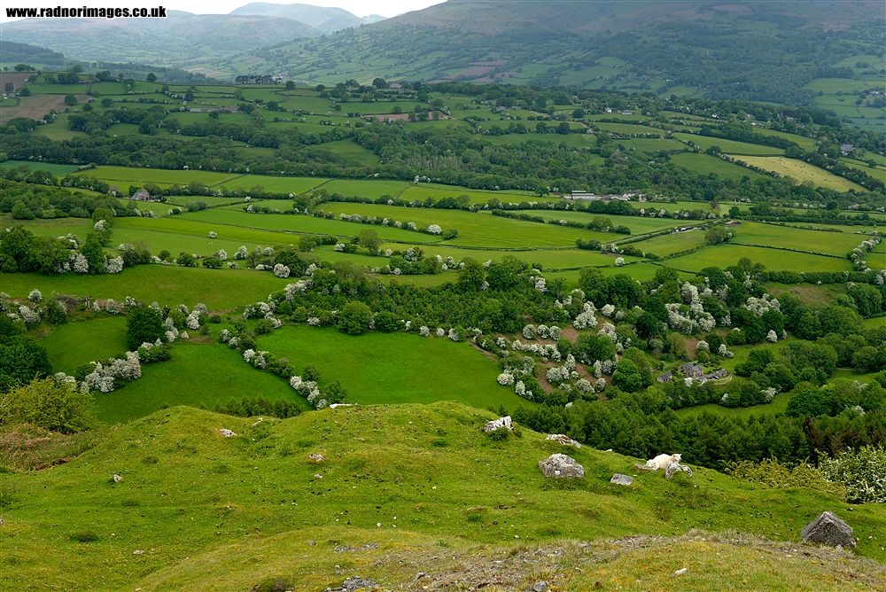 Black Mountains