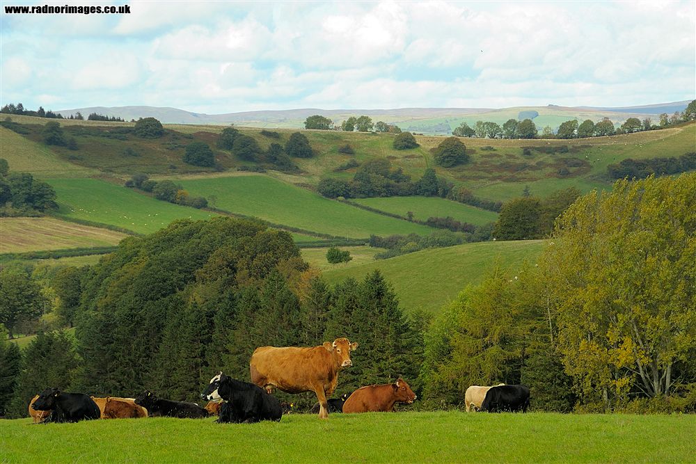 Black Mountains