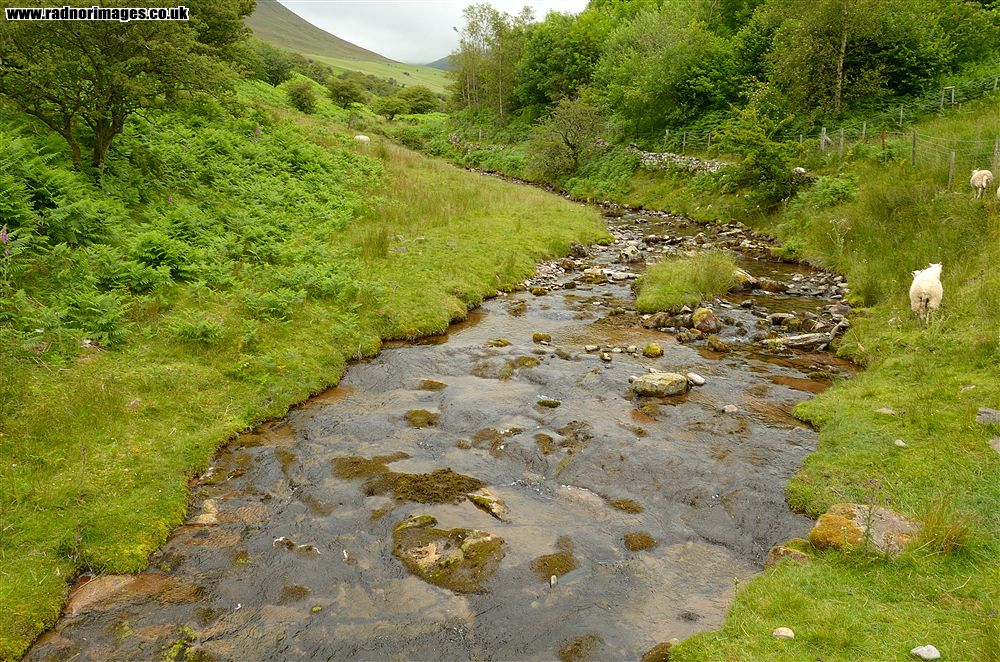 Black Mountains