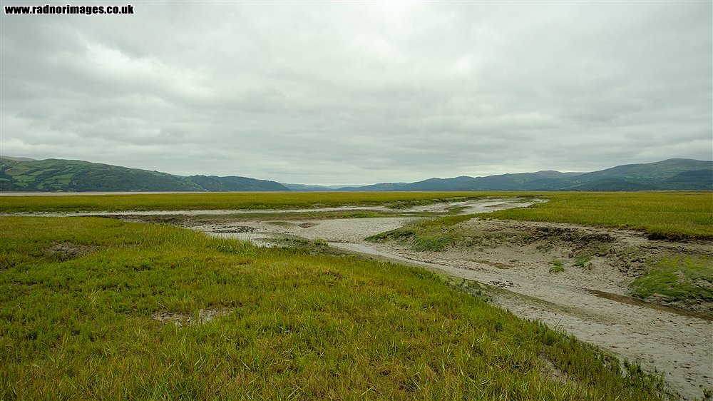 Borth