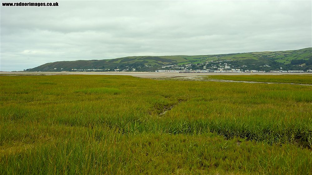 Borth
