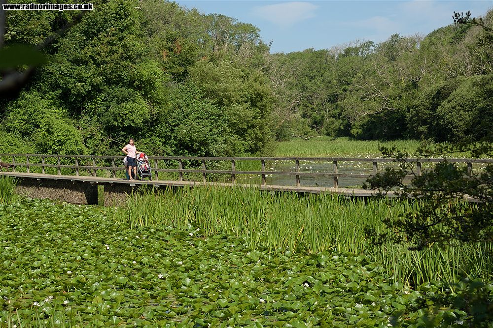 Bosherton