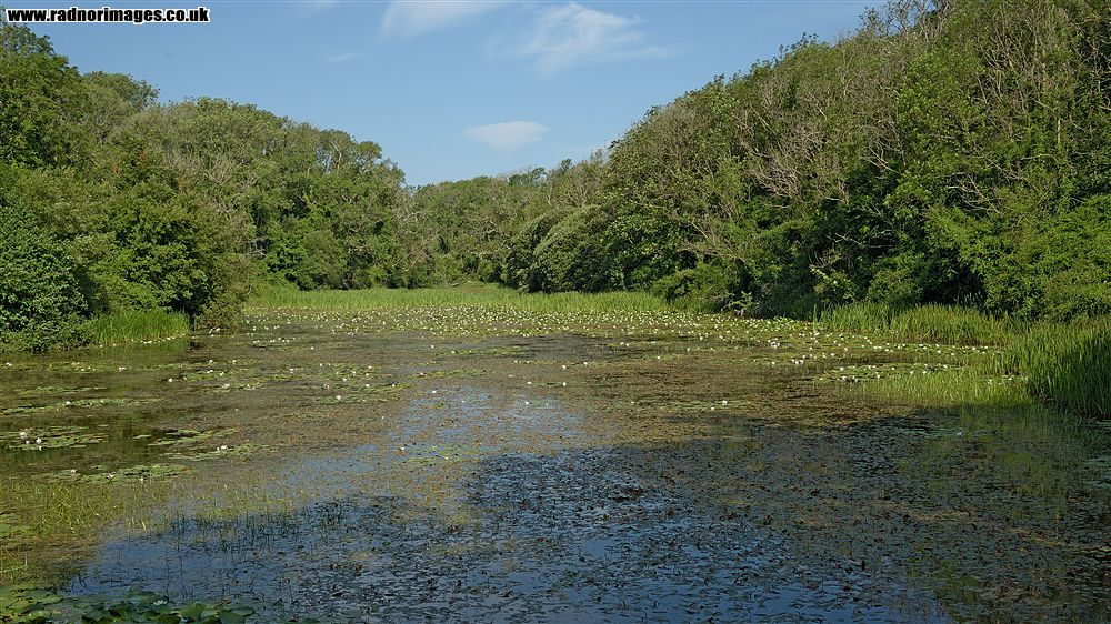 Bosherton
