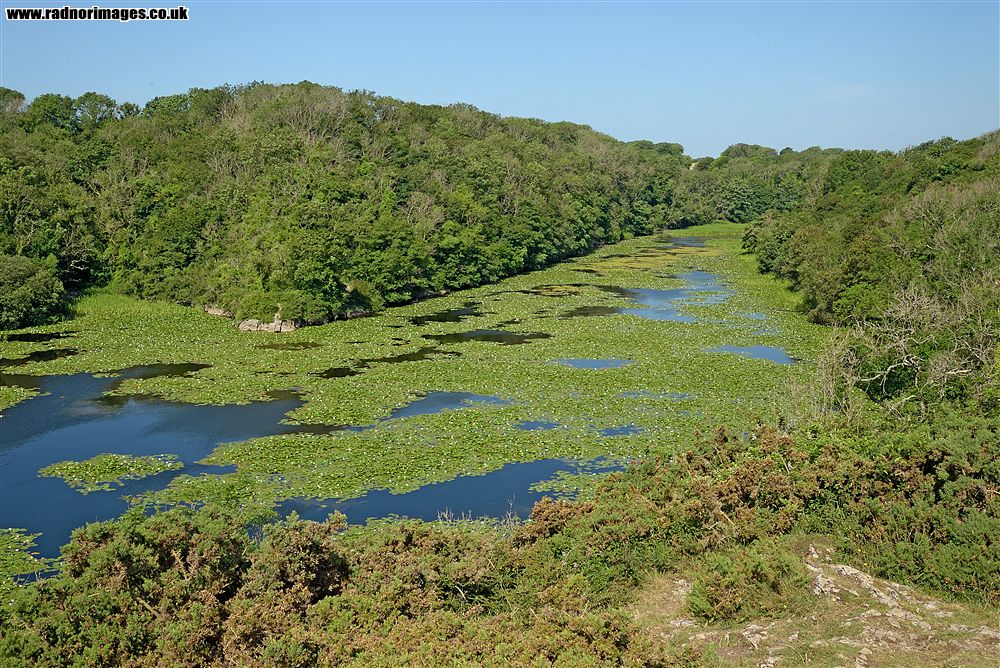 Bosherton