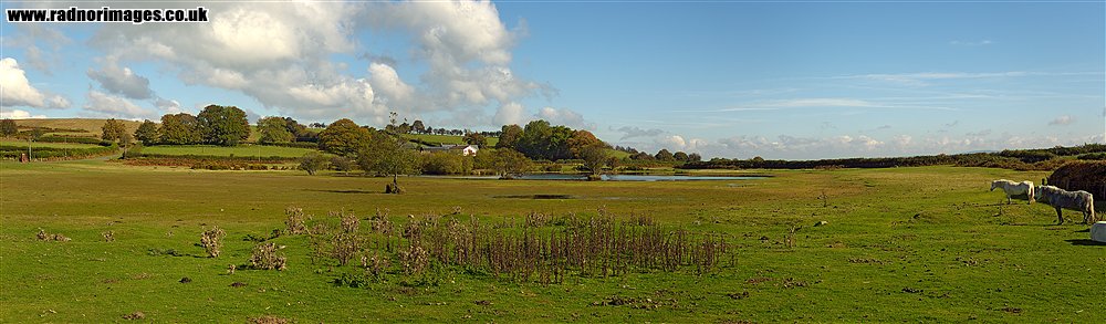 Brechfa Common