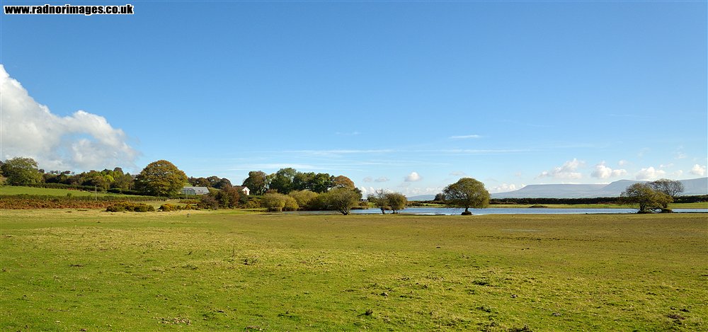 Brechfa Common