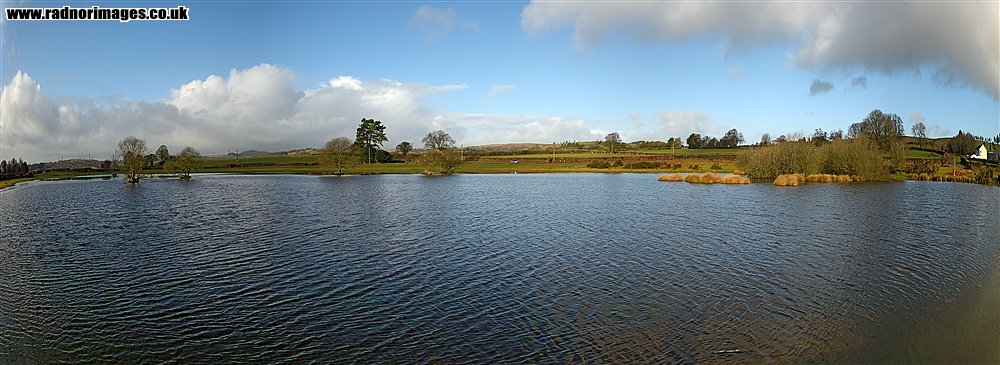 Brechfa Common
