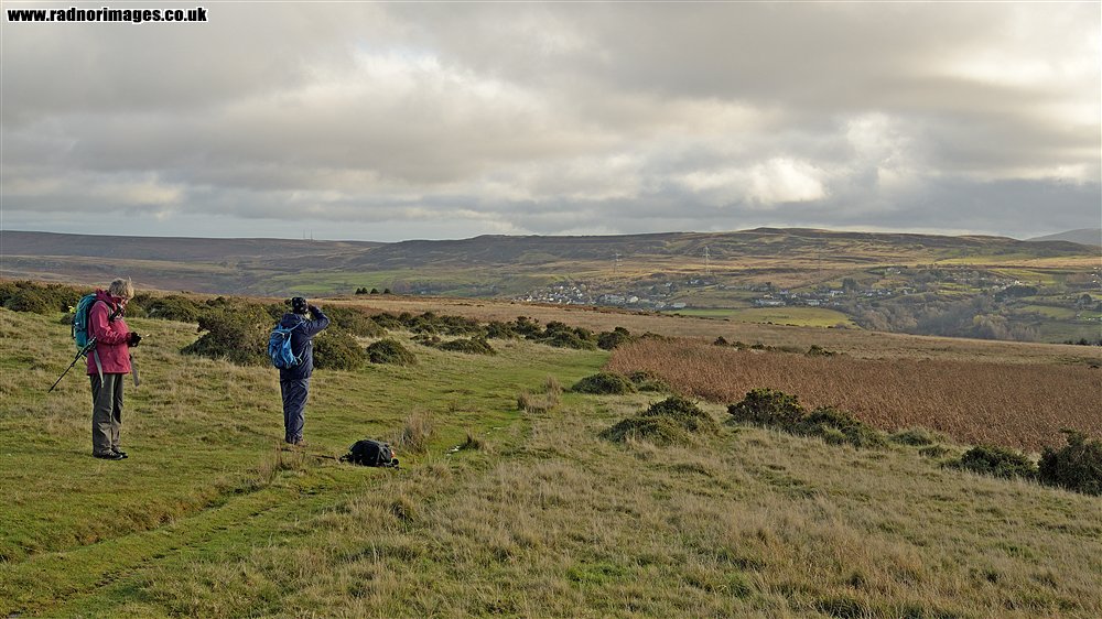 Brecknock Botany