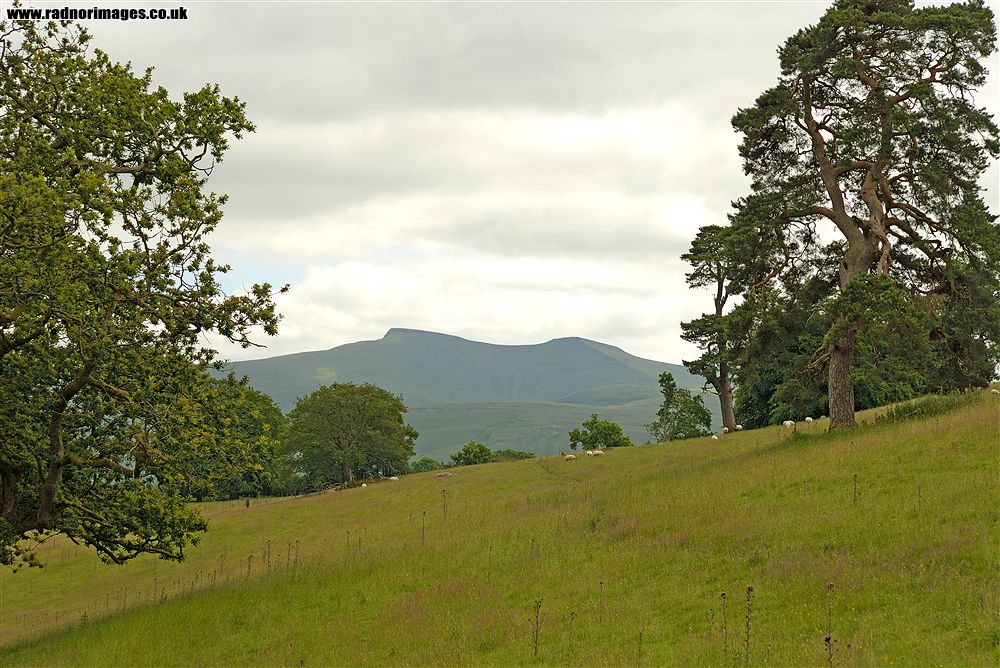 Brecon Beacons