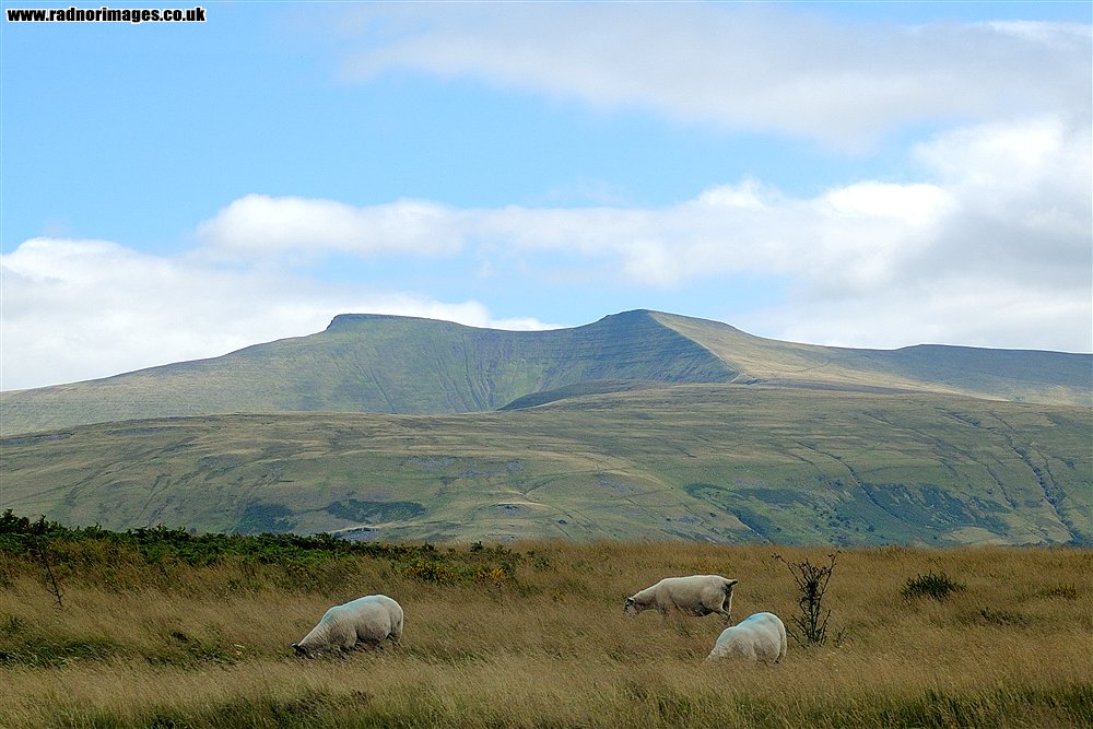 Brecon Beacons